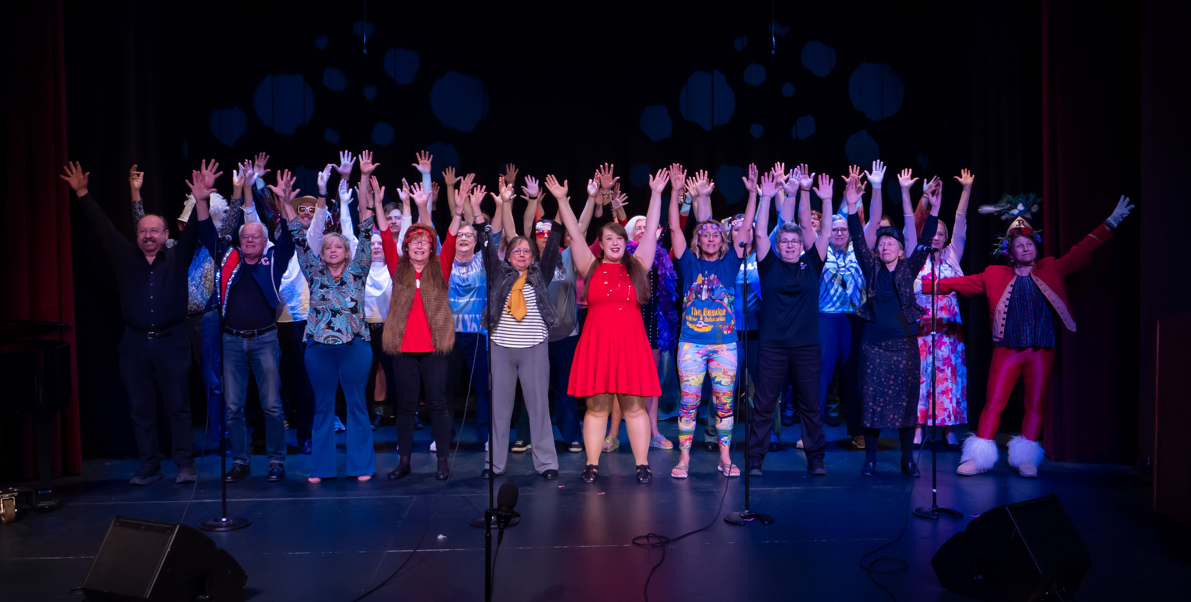 Cabaret Performance Picture